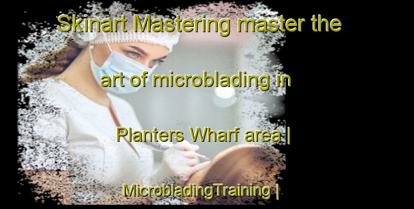 Skinart Mastering master the art of microblading in Planters Wharf area | MicrobladingTraining | MicrobladingClasses | SkinartTraining-United States